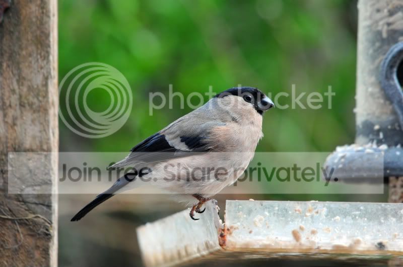 DSC_6673.jpg