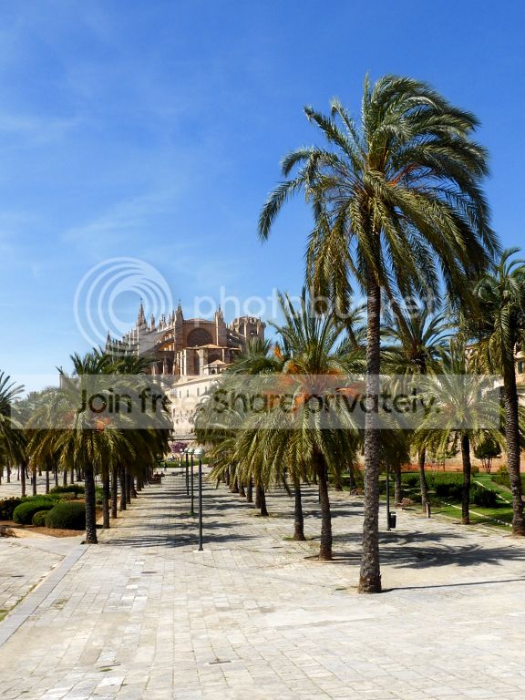 LaSeuIISmall_zps572cca0a.jpg