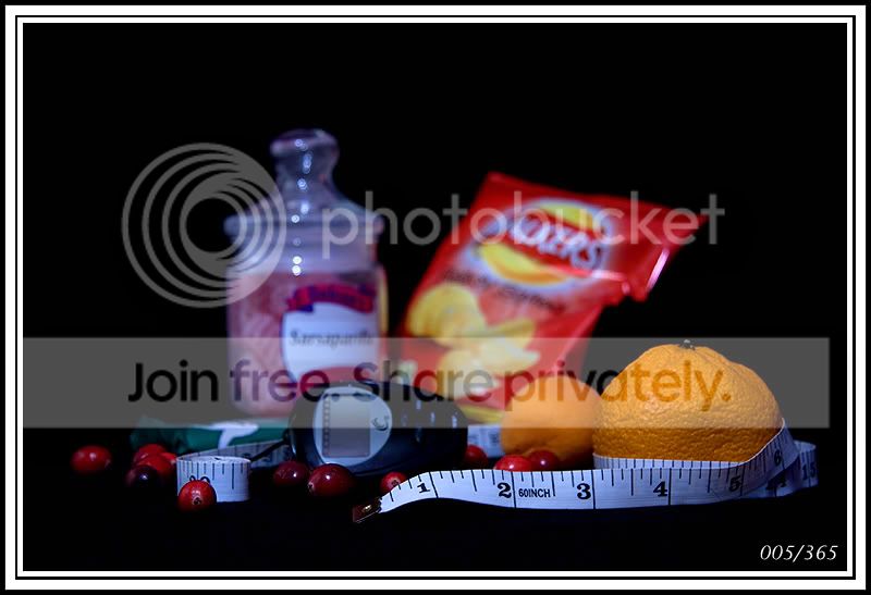 IMG_7547-processedweb005-365.jpg