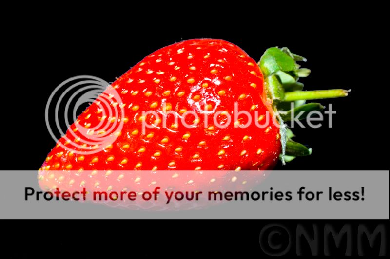 strawberrywm.jpg