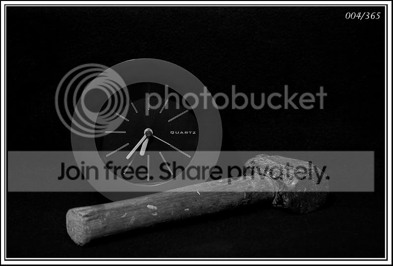 IMG_7533-processedweb004-365.jpg