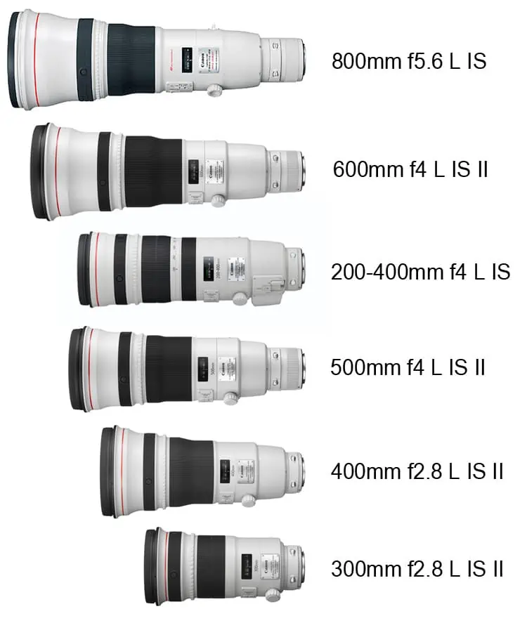 Canon_super_tele_comparison.jpg