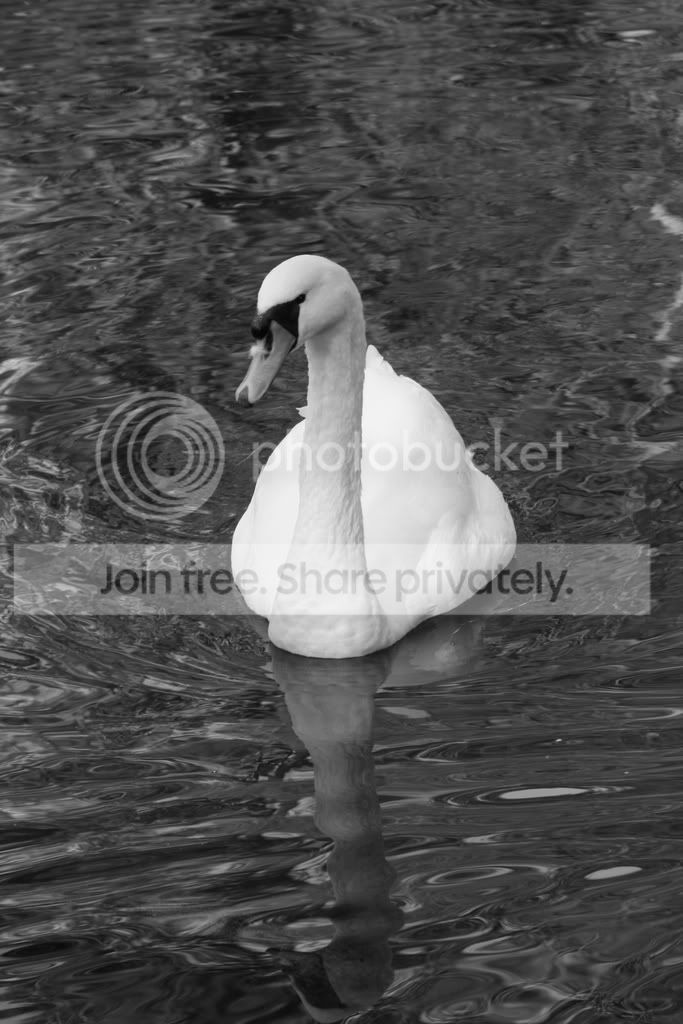 IMG_0299.jpg