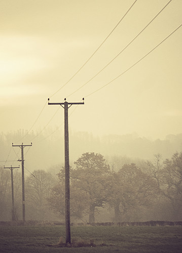 4080000811_bd3c921446.jpg