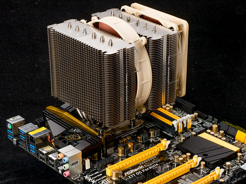 P1010760-800.jpg
