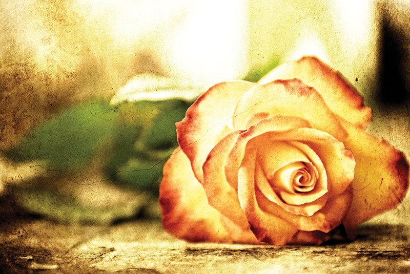 4250435413_9d992eb113_o.jpg