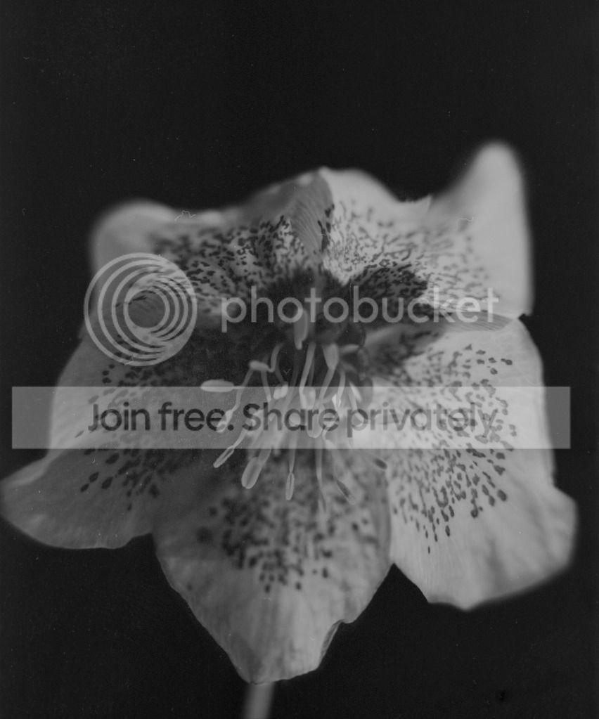 Scan-120417-0003-Edit.jpg