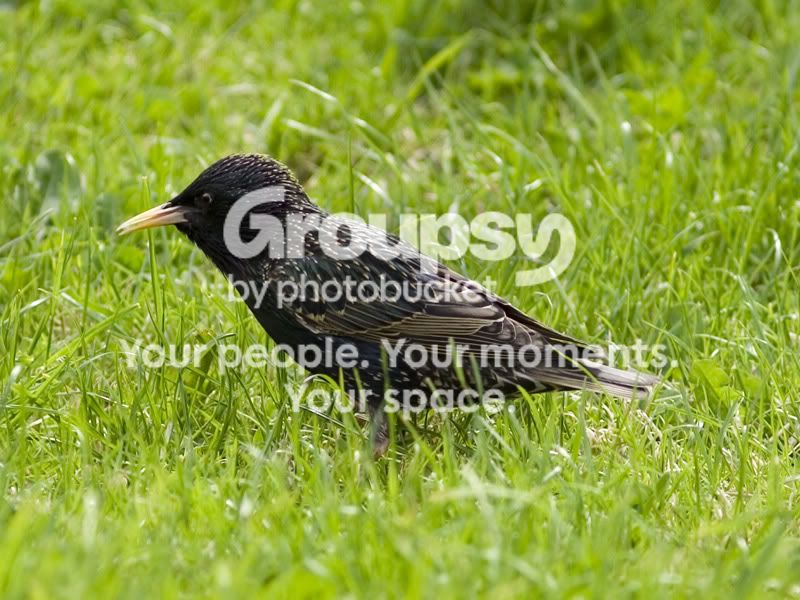 IMG_8353-crop.jpg