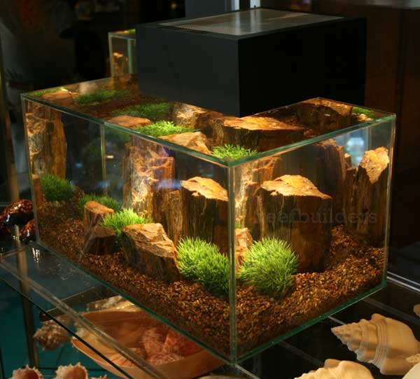 fluval-edge-aquarium.jpg