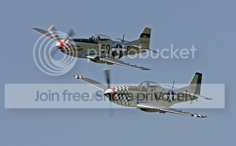 IMG_8000copy1.jpg