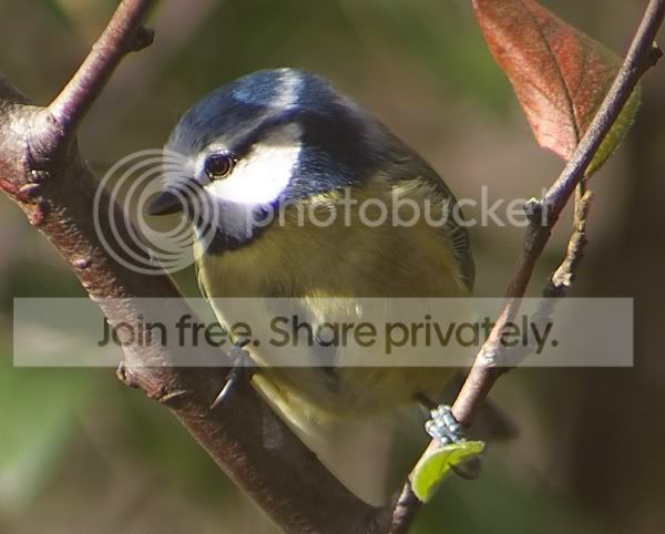 Dscf6889.jpg
