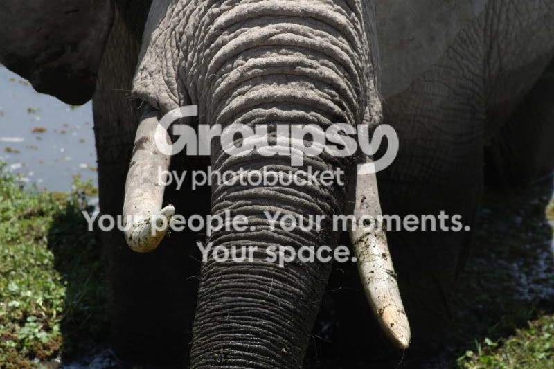 KENYA029.jpg