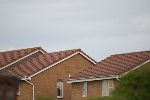 3673168666_d7bd6c5269.jpg