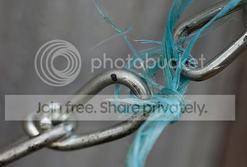 Chainlink.jpg