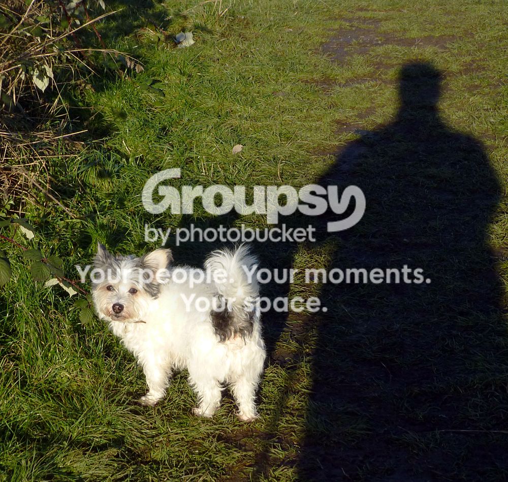 1000008walkingthedogrw.jpg