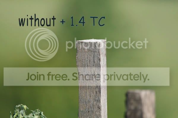 without3.jpg