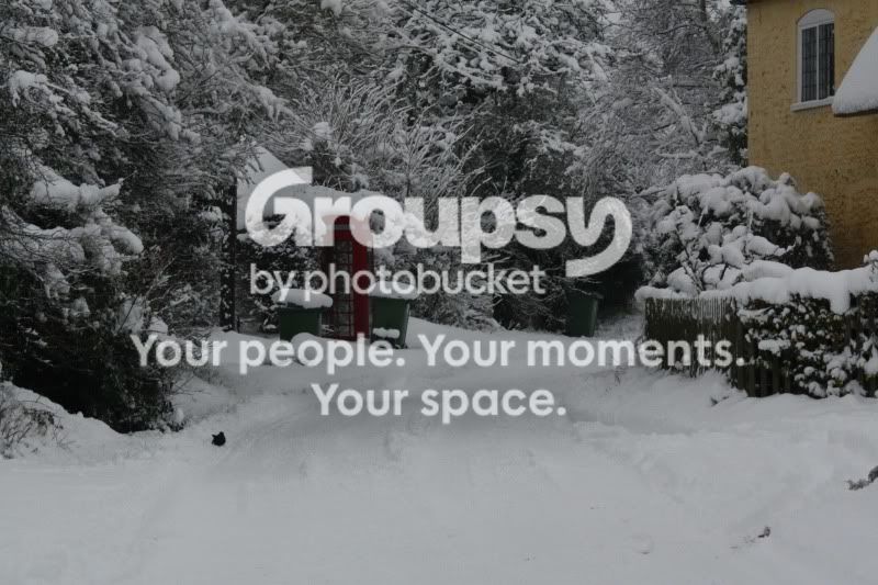 SnowJan2010023.jpg