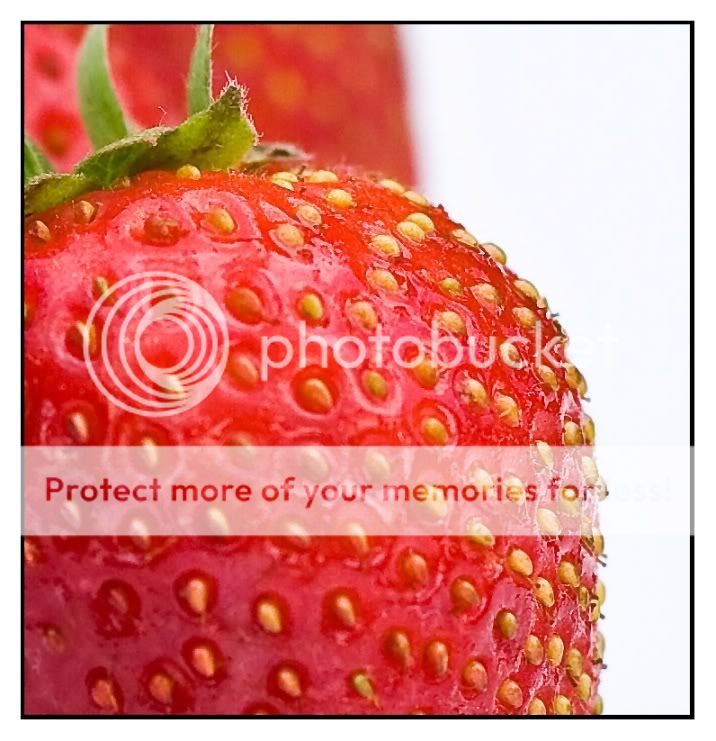 Strawberriescrop1749pb-1.jpg