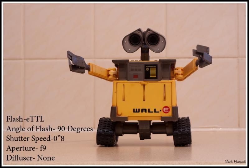3352269164_2333ef6081_o.jpg