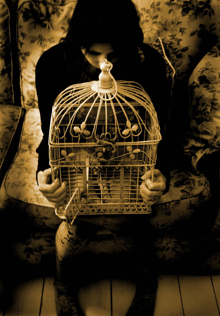 5451438937_ed6d903df5_b.jpg