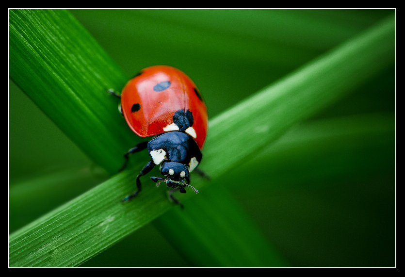 X_marks_the_spot_by_MessiahKhan.jpg