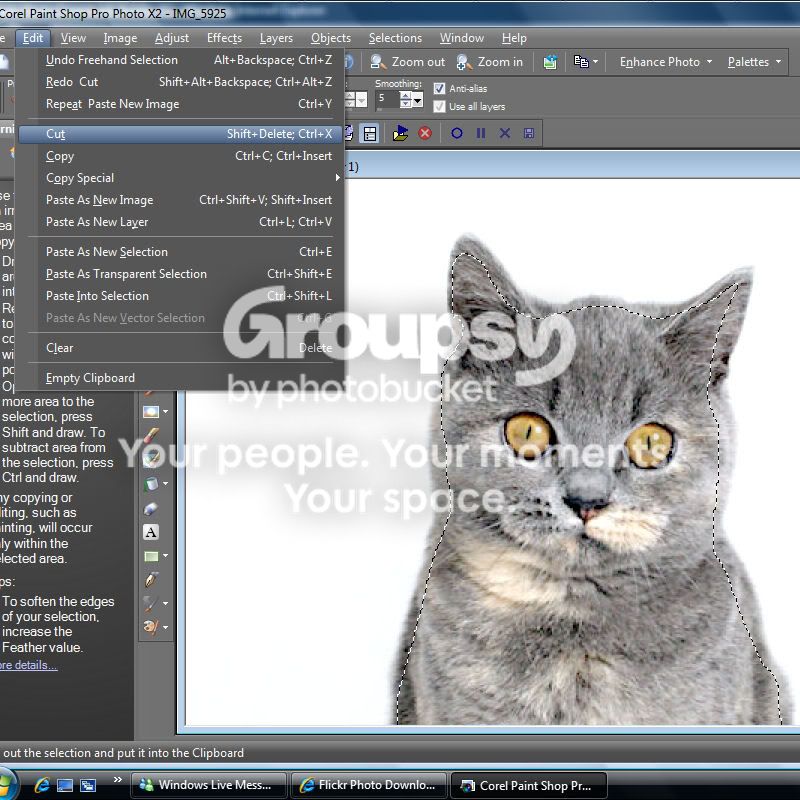 g.jpg