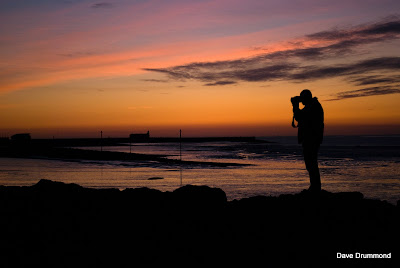 DSC_4622%20copy.jpg"