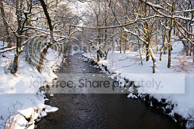 DSC03136sno.jpg