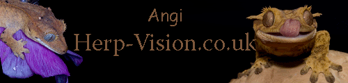 herpvision-banner.gif