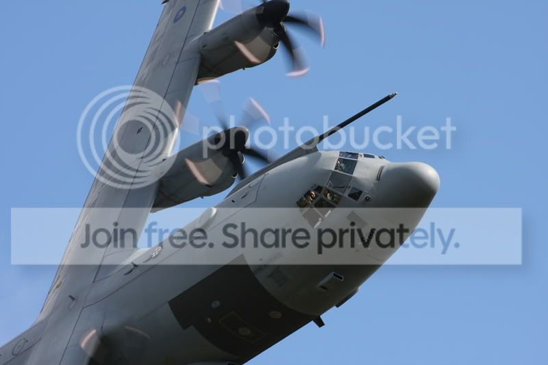 Herc.jpg