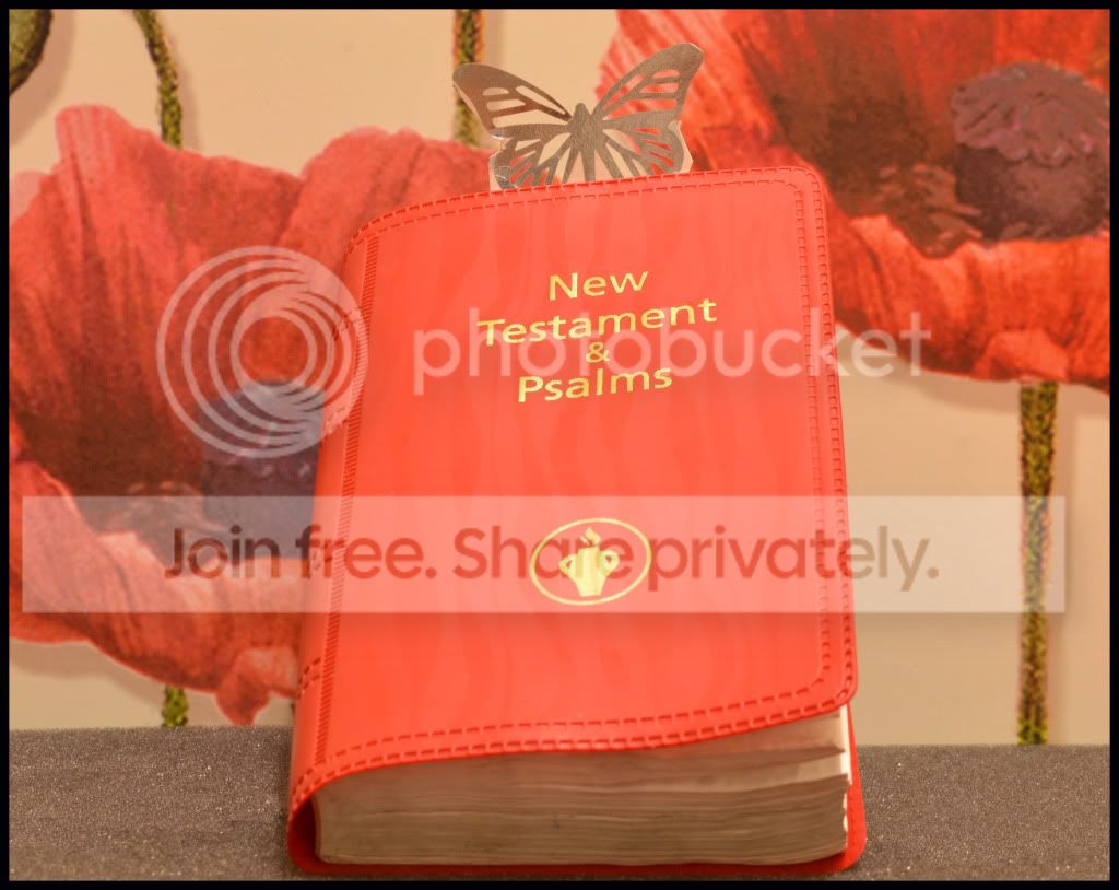 newtestamentcropnnnnnnnnnnnnnnnnnnn.jpg