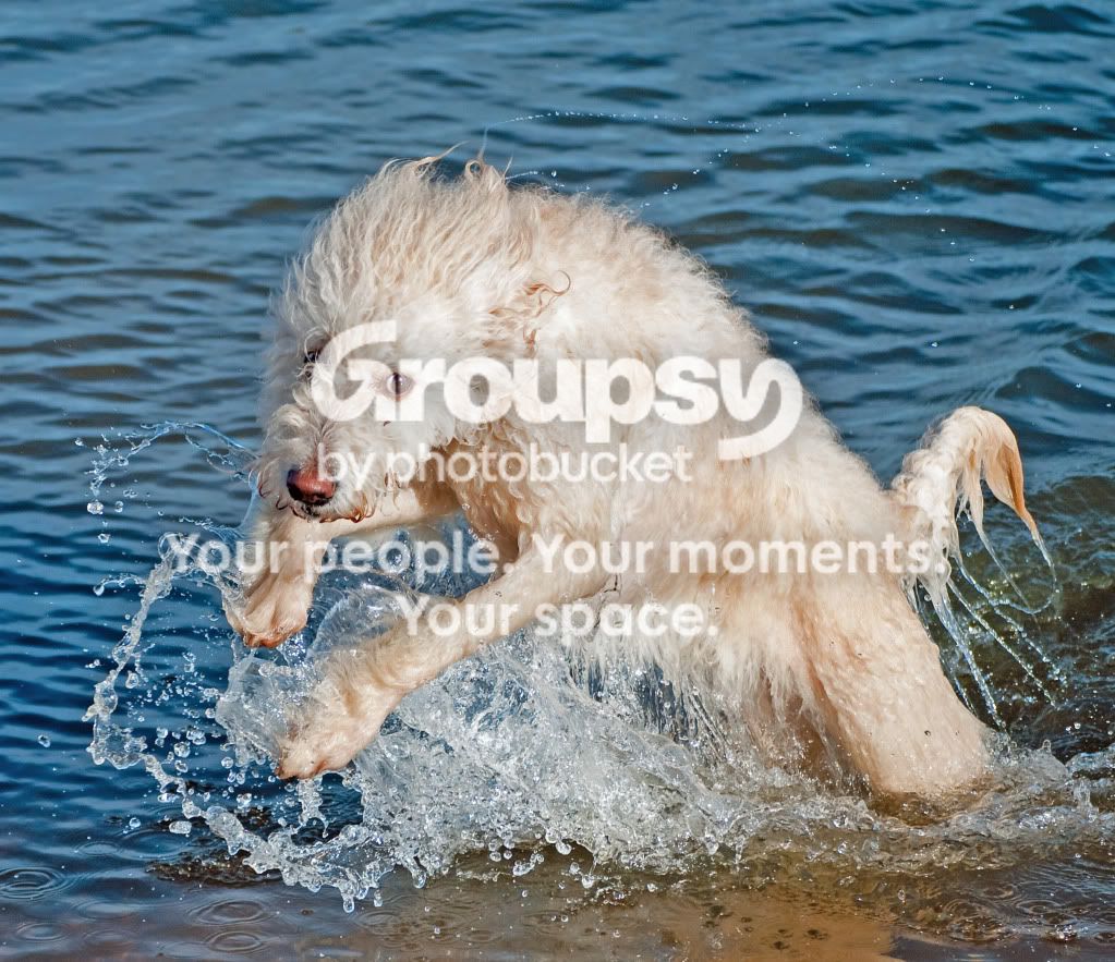 DSC_1642.jpg