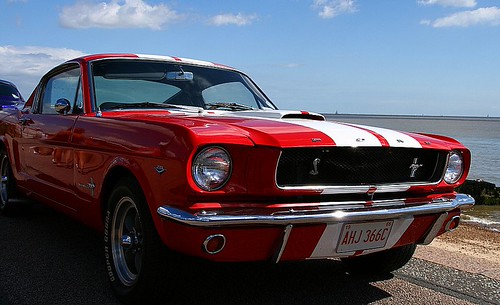 2964513517_66f4bf6de1.jpg