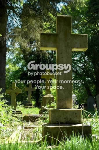 crosses.jpg