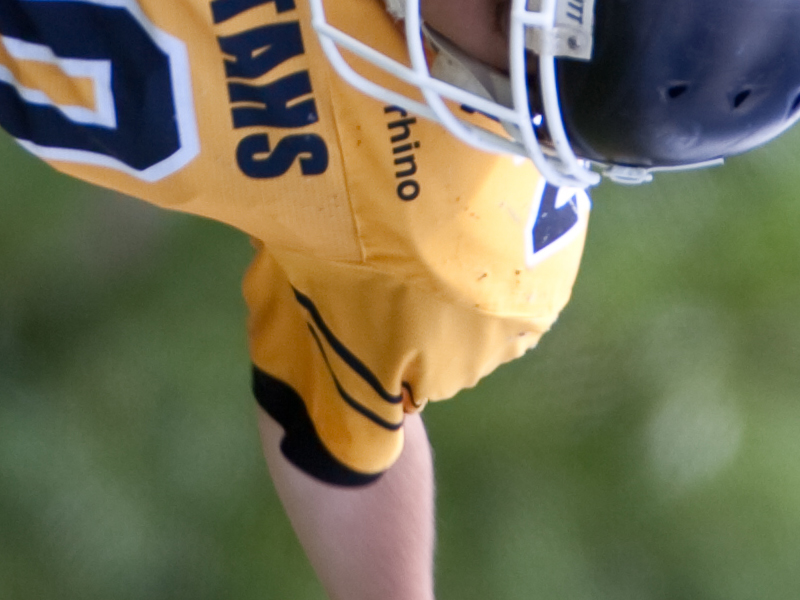 IMG_3342-4b.jpg