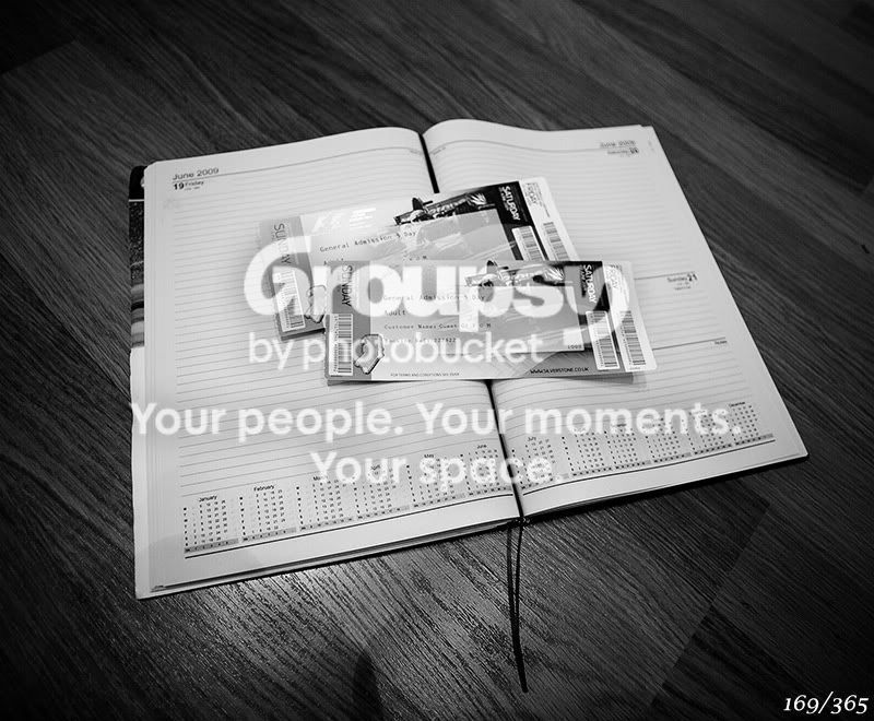 365_169.jpg
