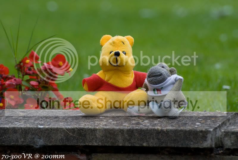 DSC_4305.jpg