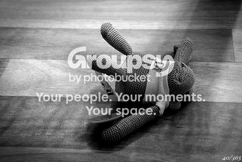 365_40.jpg