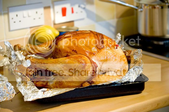 _DSC0188.jpg