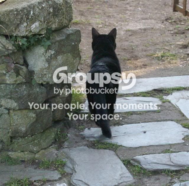 no5.jpg