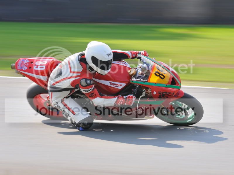 DSC_5131_copy2.jpg