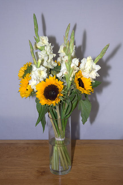 sunf&glad01.jpg