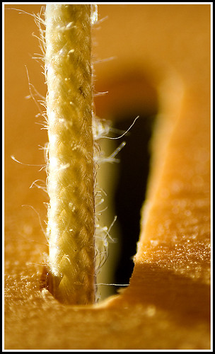 2333756468_5c7c7d9901.jpg
