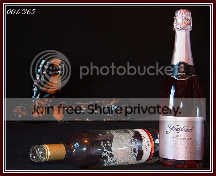 IMG_7306-processed-web.jpg