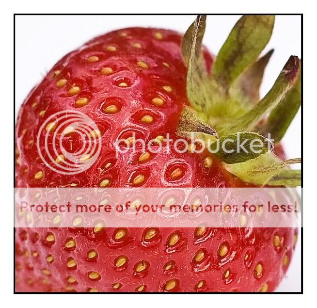 Strawberriescrop1764pb-1.jpg