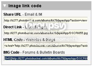 uploadfromphotobucket.jpg