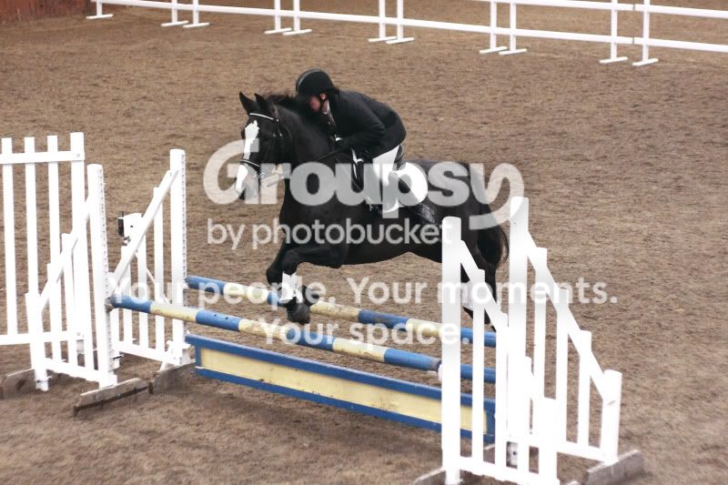 Georgejumpinginarena6.jpg