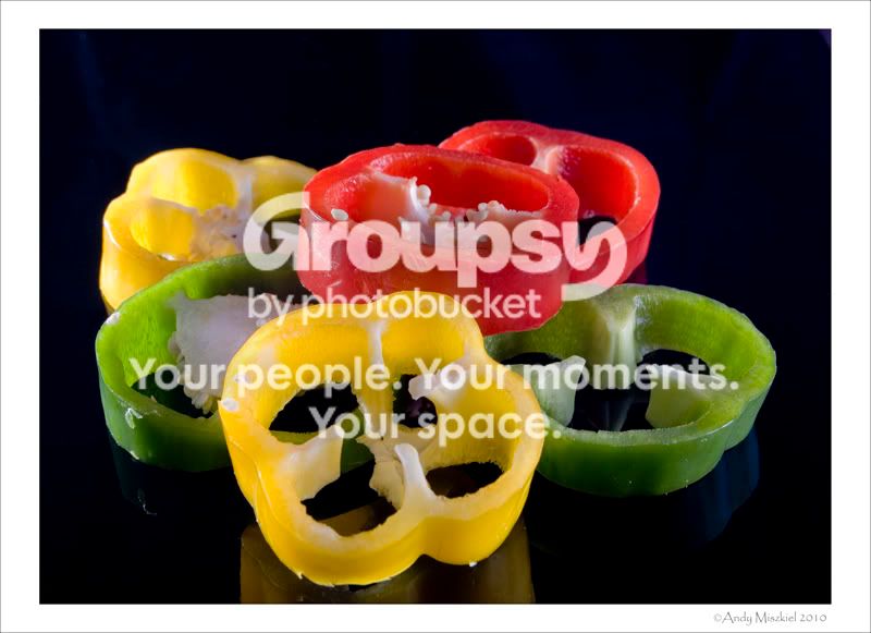 230110week3choppedwebversion.jpg