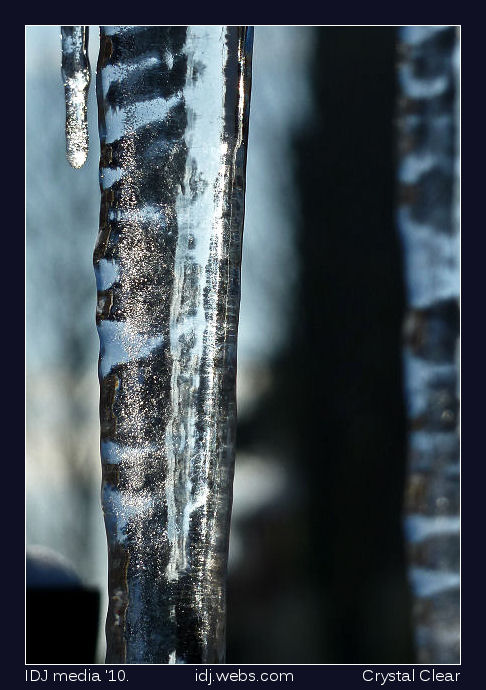 icicles%2B3.jpg