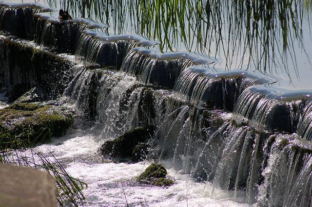 3896709697_7a73d3e6d7_z.jpg
